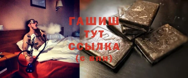индика Арсеньев