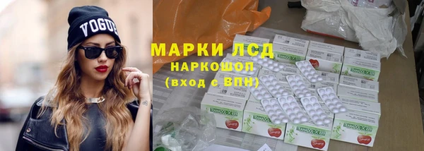 крисы Аркадак