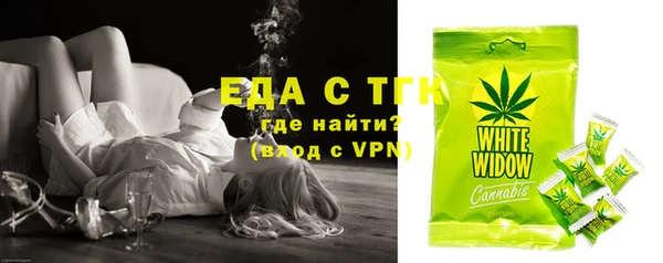 индика Арсеньев