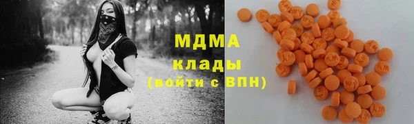 индика Арсеньев