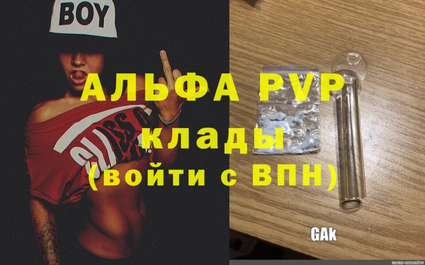 индика Арсеньев