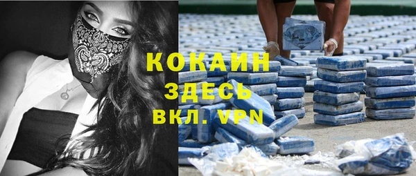 индика Арсеньев