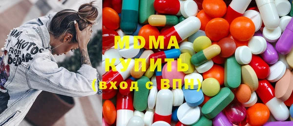 индика Арсеньев