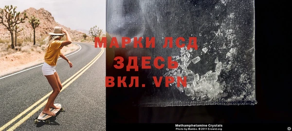 индика Арсеньев