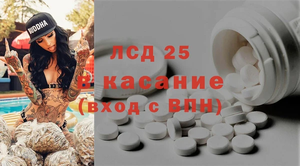 крисы Аркадак