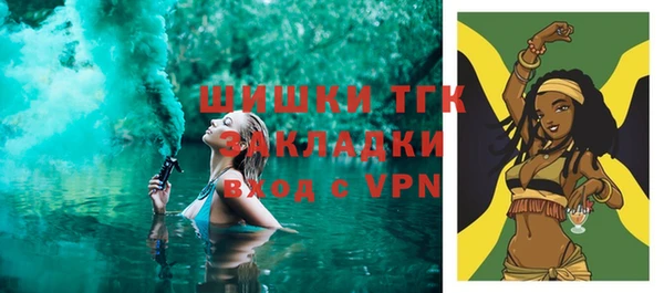 индика Арсеньев