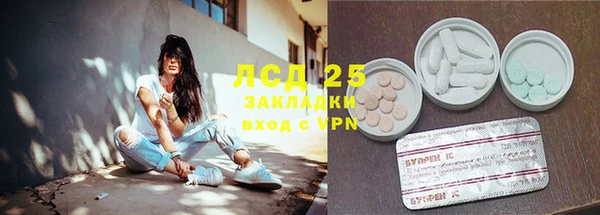 крисы Аркадак