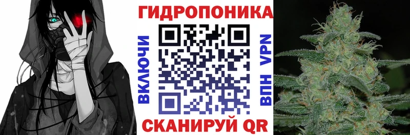 Каннабис планчик  где купить наркотик  Салехард 